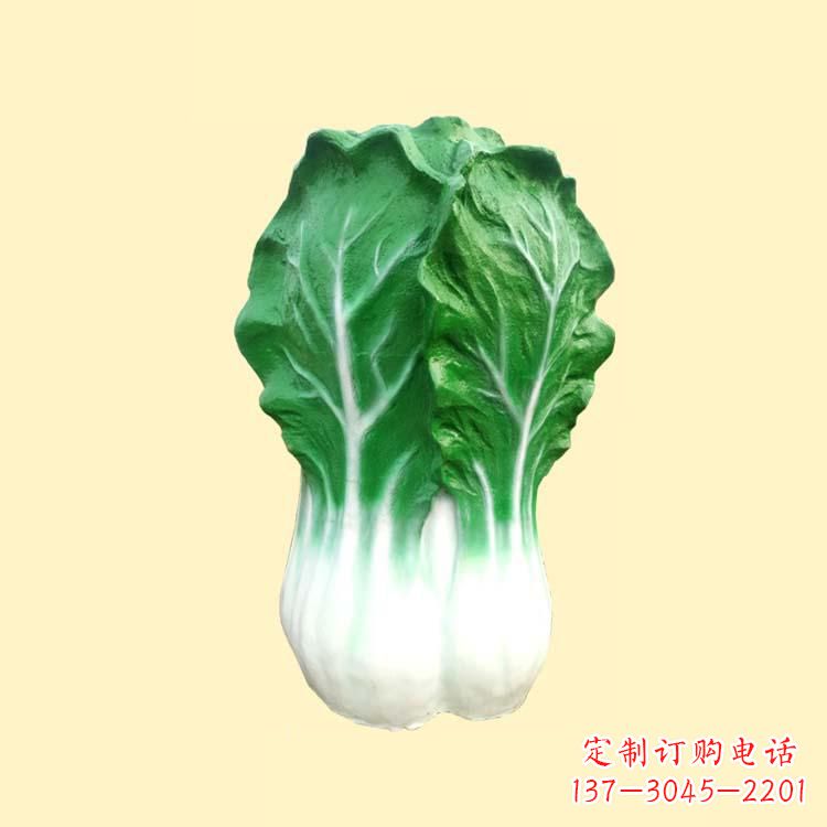 四川白菜智能投影仪——让你的生活更加精彩