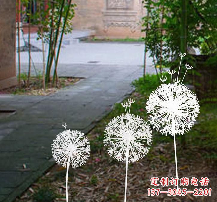 四川不锈钢蒲公英点亮城市之美
