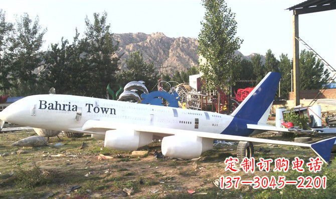 四川静静躺在大地上的不锈钢飞机雕塑