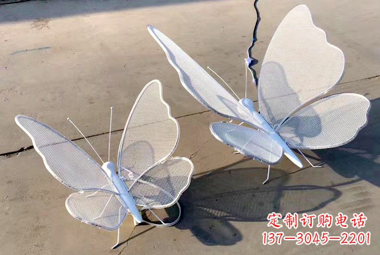四川不锈钢钢丝网格蝴蝶雕塑——灯光下的灵动之美