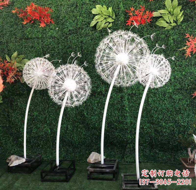 四川不锈钢蒲公英——折射着自然之美