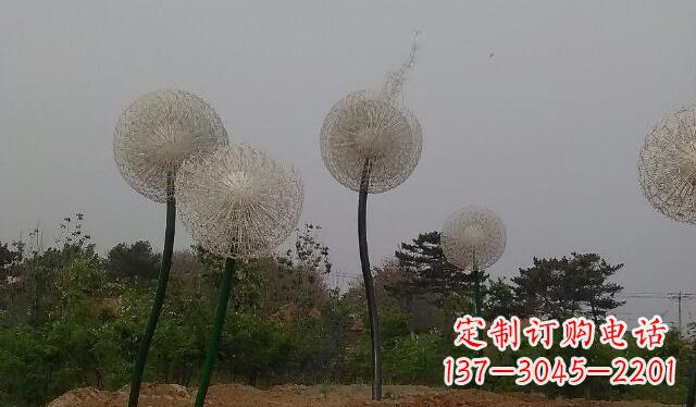四川蒲公英的绚丽多彩