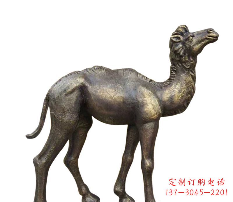 四川奇美洁净的骆驼铜雕