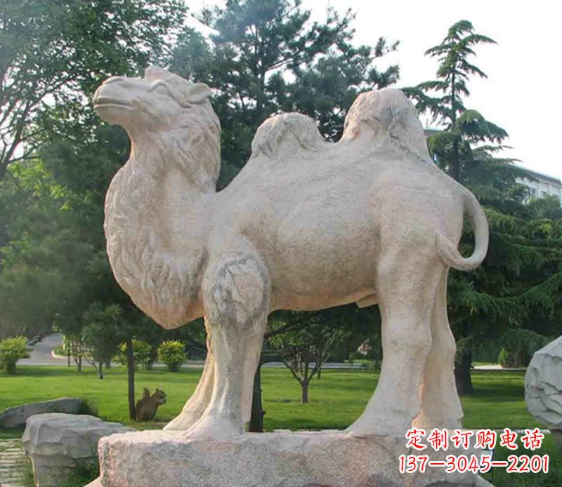四川石头骆驼雕塑